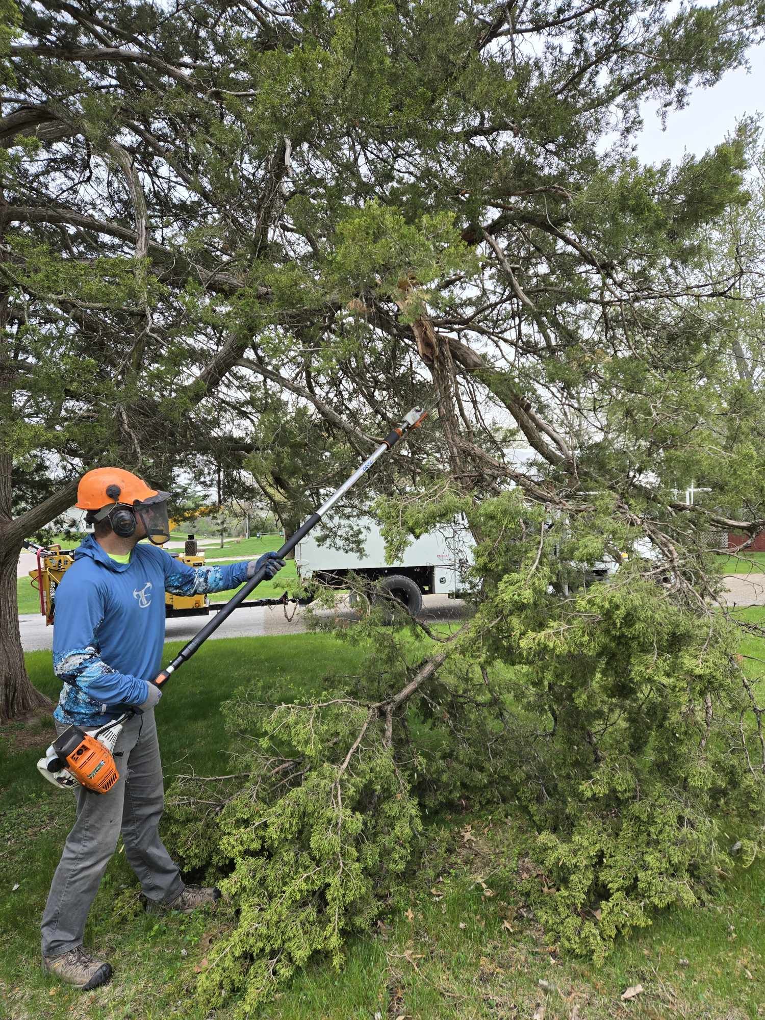 Canopy reduction tree trimming in Washington, Iowa