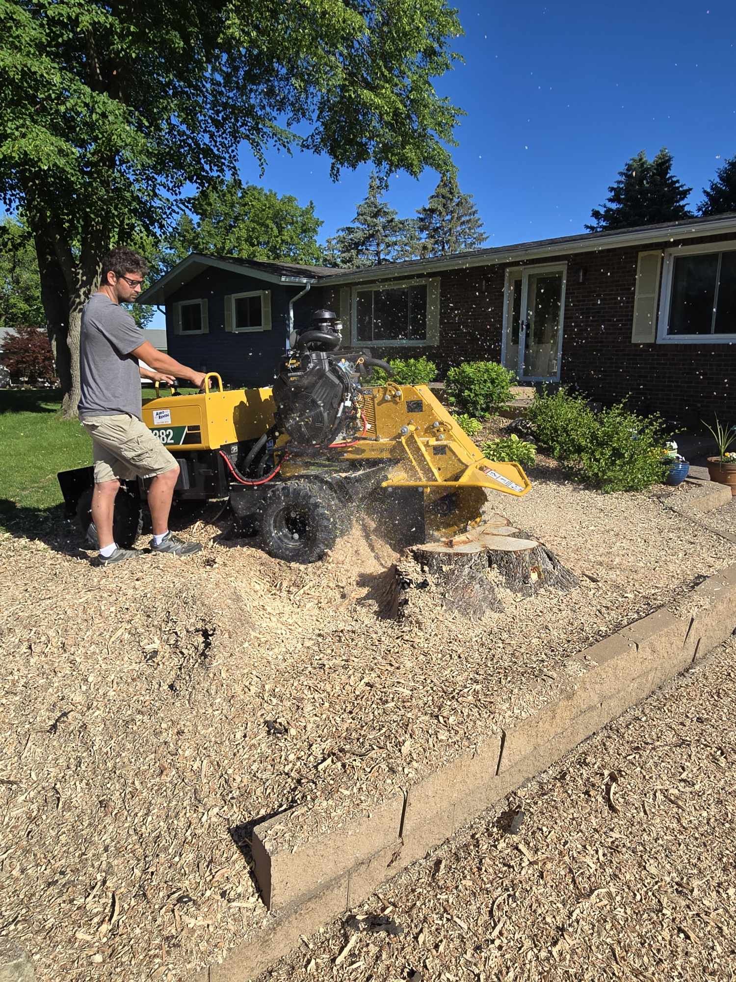 Stump Grinding Iowa