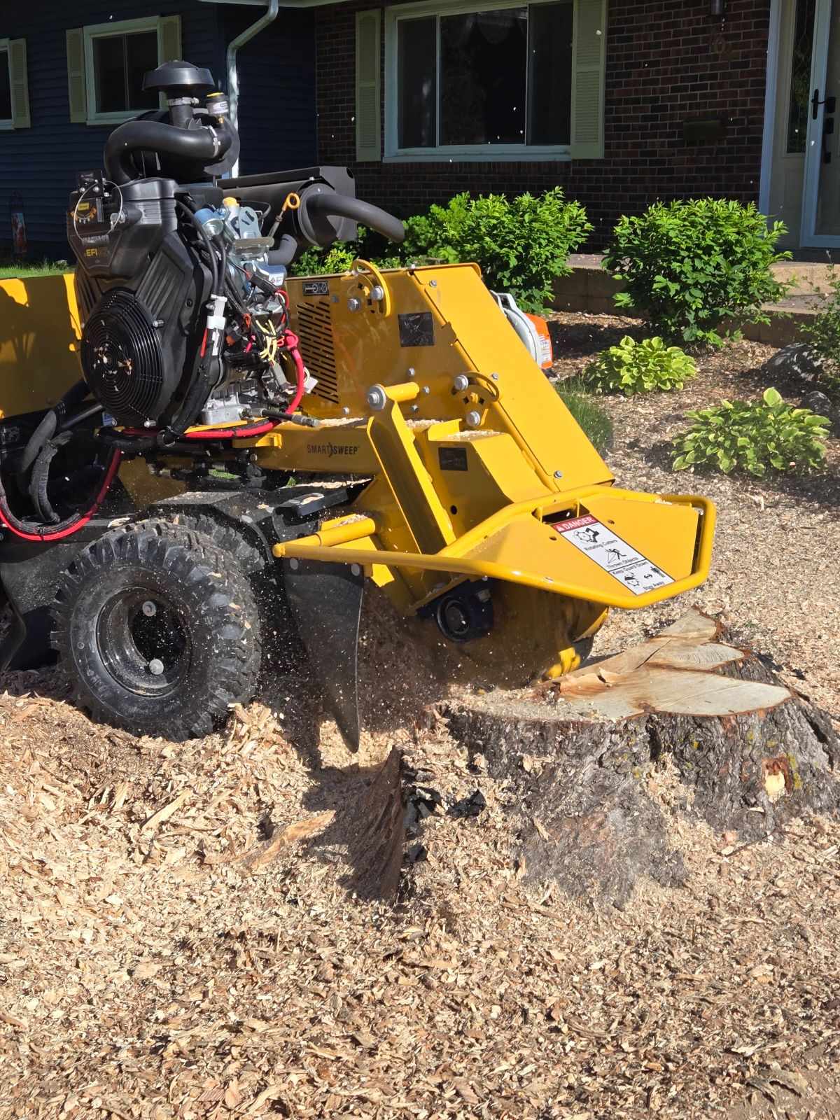 Multi-stump grinding and removal in Wellman, Iowa